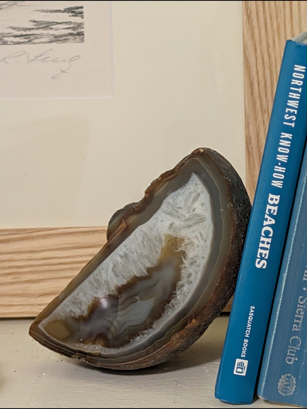 Medium Polished Brazilian Agate Geode Slice - White and Brown